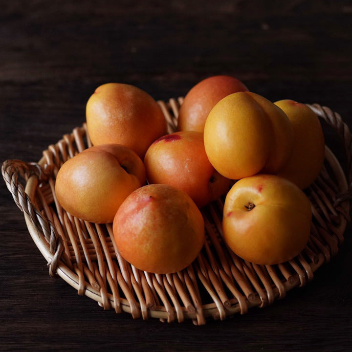 Assiette à fruits ronde multifonctionnelle en rotin, fabriquée à la main et créative, avec deux oreilles