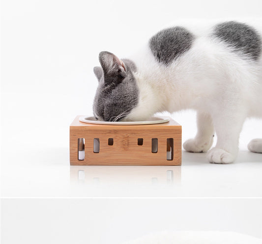 bol pour animaux de compagnie